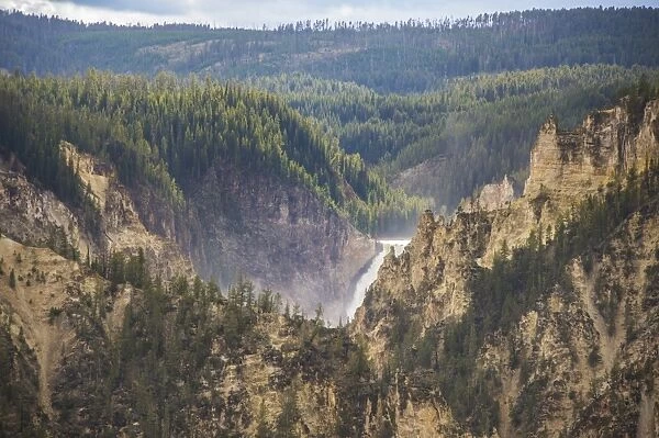 The Lower Falls in the Grand Canyon of Yellowstone, Yellowstone National Park, UNESCO World Heritage Site, Wyoming, United States of America, North America