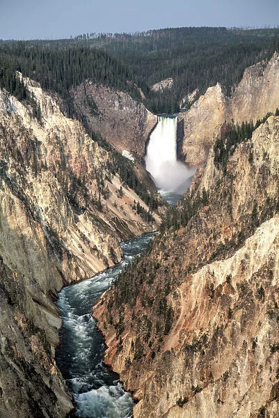 Lower Falls, Yellowstone River, Yellowstone National Park, UNESCO World Heritage Site, Wyoming, United States of America, NorthA America