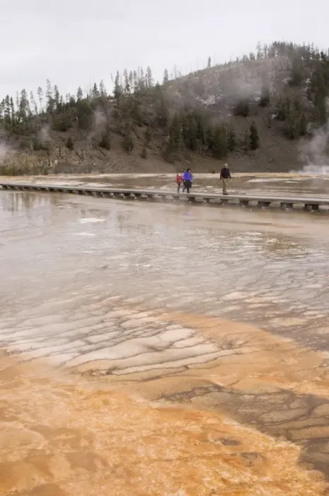Framed Print : Lower Geyser Basin, Yellowstone National Park, UNESCO World Heritage Site Framed Print : Lower Geyser Basin, Yellowstone National Park, UNESCO World Heritage Site