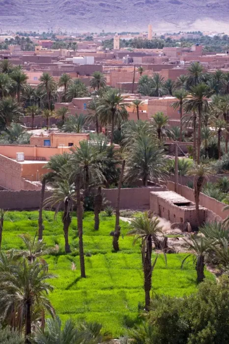 Framed Print : Lower level farming, date palm oasis, Figuig, province of Figuig, Oriental Region Framed Print : Lower level farming, date palm oasis, Figuig, province of Figuig, Oriental Region