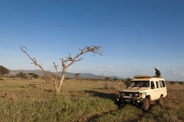 Lualenyi Game Reserve, Kenya, East Africa, Africa
