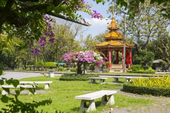 Framed Print : Lumphini Park, Ratchadamri Road, Bangkok, Thailand, Southeast Asia, Asia Framed Print : Lumphini Park, Ratchadamri Road, Bangkok, Thailand, Southeast Asia, Asia