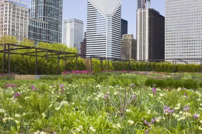 Framed Print : The Lurie Garden, Millennium Park, Chicago, Illinois, United States of America Framed Print : The Lurie Garden, Millennium Park, Chicago, Illinois, United States of America