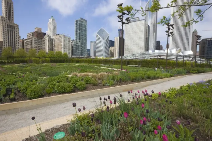 Framed Print : The Lurie Garden, Millennium Park, Chicago, Illinois, United States of America Framed Print : The Lurie Garden, Millennium Park, Chicago, Illinois, United States of America