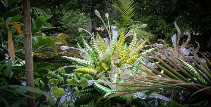 Framed Print : Lush green ferns and foliage in a tropical garden setting at Kew Gardens, London, England, United Kingdom, Europe Framed Print : Lush green ferns and foliage in a tropical garden setting at Kew Gardens, London, England, United Kingdom, Europe