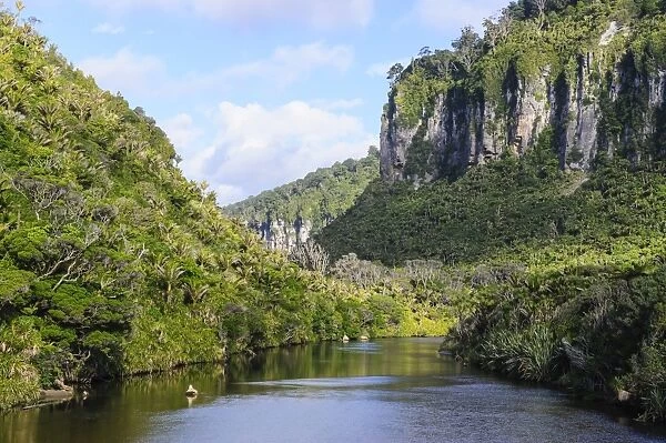 Lush vegetation and cliffs, Porari River, Paparoa National Park, West Coast, South Island, New Zealand, Pacific
