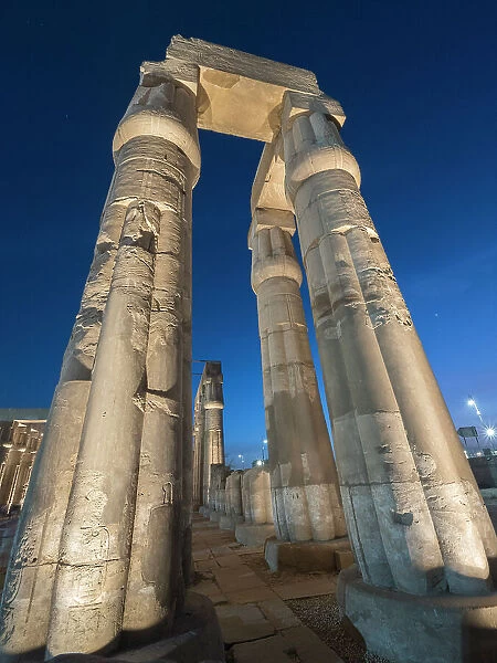The Luxor Temple at night, a large Ancient Egyptian temple complex constructed approximately 1400 BCE, UNESCO World Heritage Site, Luxor, Thebes, Egypt, North Africa, Africa