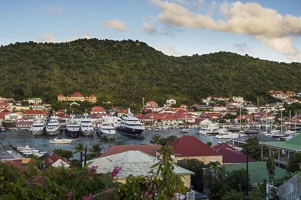 Luxury yachts, in the harbour of Gustavia, St. Barth (Saint Barthelemy), Lesser Antilles