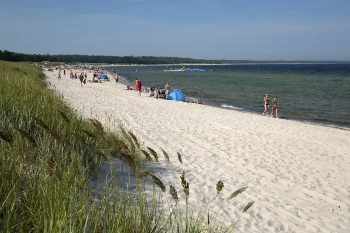 Framed Print : Lyckesand beach backed by sand dunes, Boda, Northern Oland, Oland, Baltic coast, Southeast Sweden Framed Print : Lyckesand beach backed by sand dunes, Boda, Northern Oland, Oland, Baltic coast, Southeast Sweden