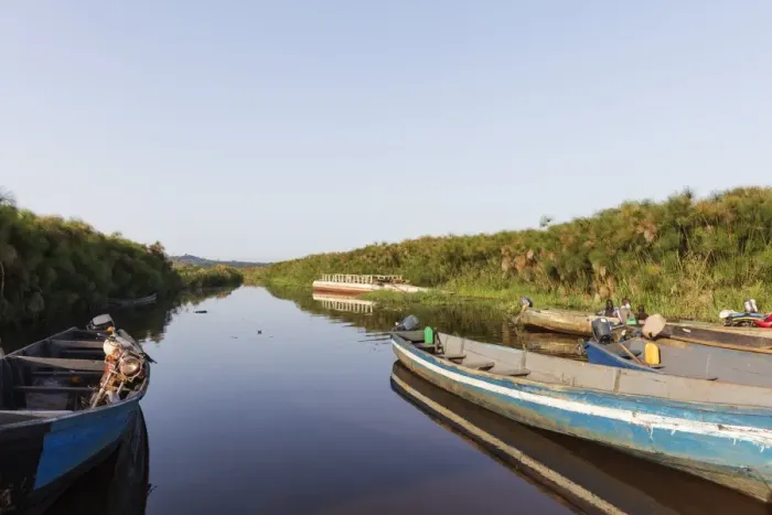 Framed Print : Mabamba swamp, Uganda, Africa