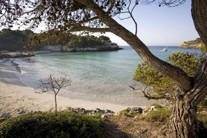 Framed Print : Macarella beach