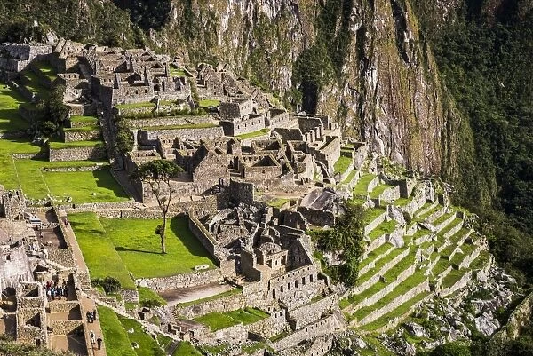Machu Picchu Inca ruins, UNESCO World Heritage Site, Cusco Region, Peru, South America