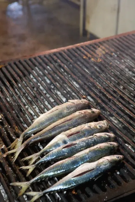Framed Print : Mackerel on grill, street market, Palermo, Sicily, Italy, Europe Framed Print : Mackerel on grill, street market, Palermo, Sicily, Italy, Europe