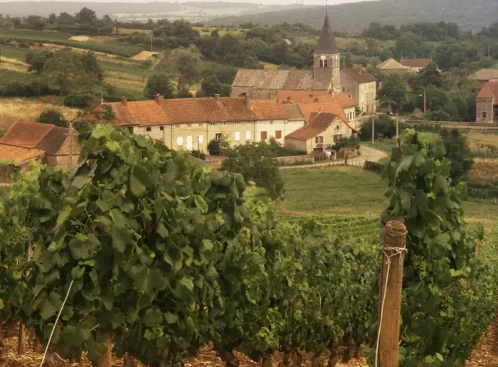 Framed Print : Maconnais vineyards, Poilly Fuisse, Ozenay, near Macon, Saone-et-Loire