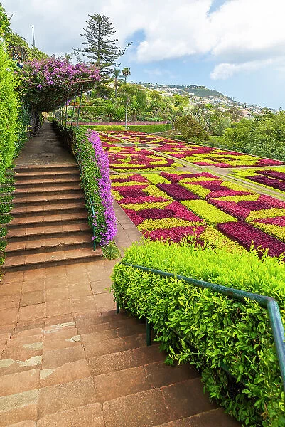Madeira Botanical Garden, Funchal, Madeira, Portugal, Atlantic, Europe