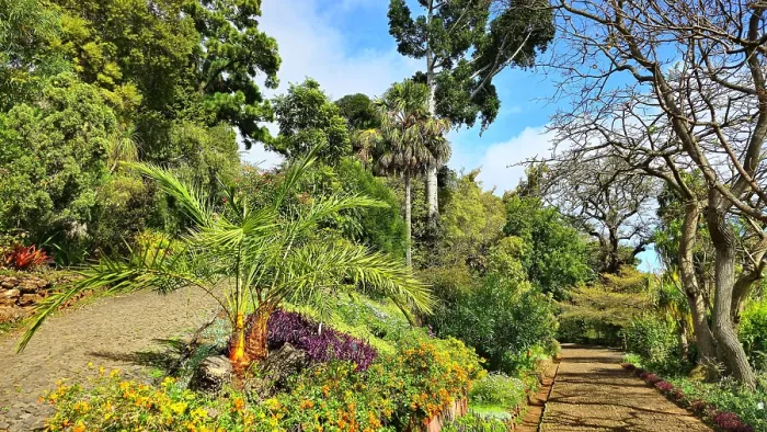 Framed Print : Madeira Botanical Garden, Funchal, Madeira Framed Print : Madeira Botanical Garden, Funchal, Madeira
