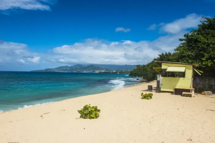 Framed Print : Magazine Beach, Grenada, Windward Islands, West Indies, Caribbean, Central America Framed Print : Magazine Beach, Grenada, Windward Islands, West Indies, Caribbean, Central America