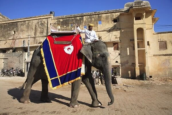 Mahout and elephant, Amber Fort Palace, Jaipur, Rajasthan, India, Asia