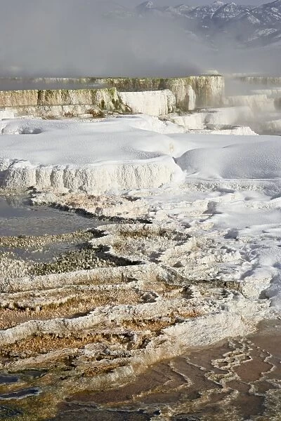 Main Terrace Hot Spring with snow, Mammoth Hot Springs, Yellowstone National Park