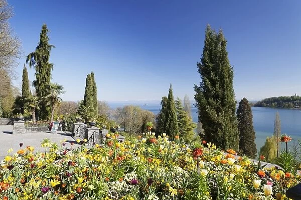 Mainau Island in spring, view over Lake Constance to the Alps, Baden-Wurttemberg