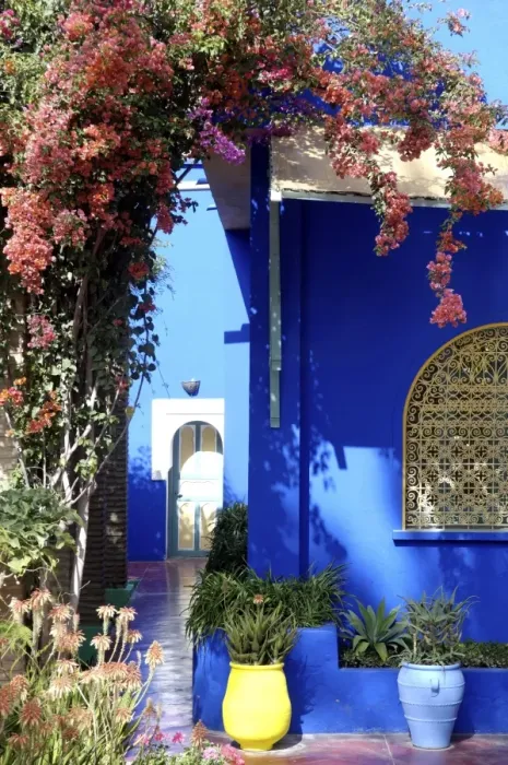 Framed Print : The Majorelle Garden, created by the French cabinetmaker Louis Majorelle Framed Print : The Majorelle Garden, created by the French cabinetmaker Louis Majorelle