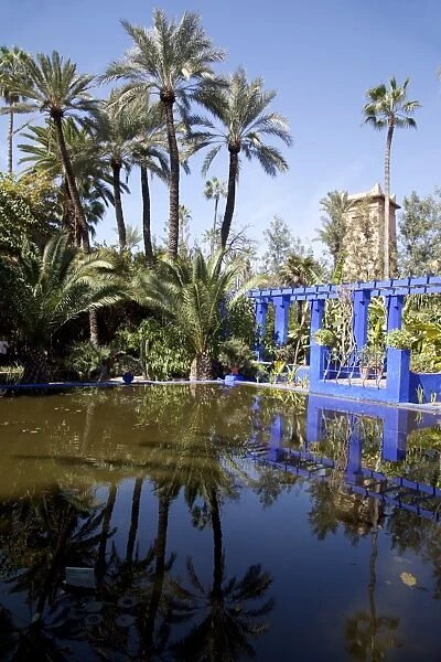 Majorelle Gardens, Marrakesh, Morocco, North Africa, Africa