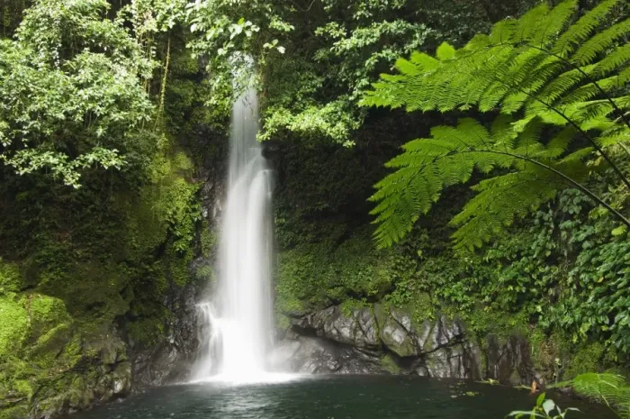 Framed Print : Malabsay Waterfall Framed Print : Malabsay Waterfall