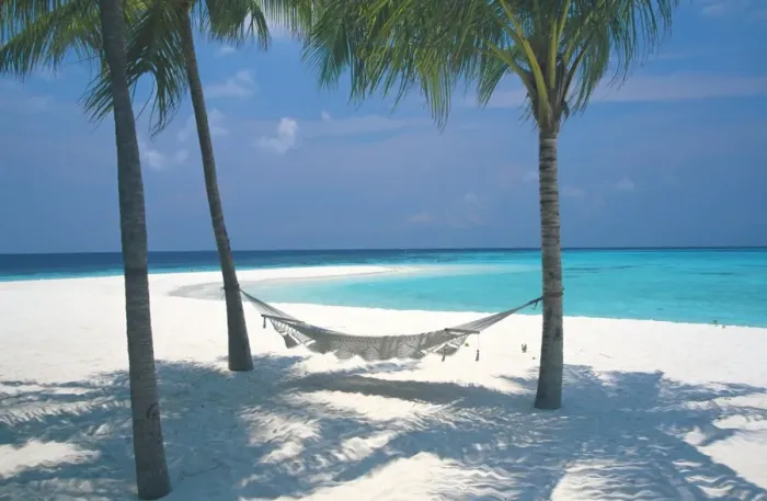Framed Print : Maldives, Indian Ocean, Asia Framed Print : Maldives, Indian Ocean, Asia