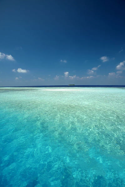 Maldives Tropical beach