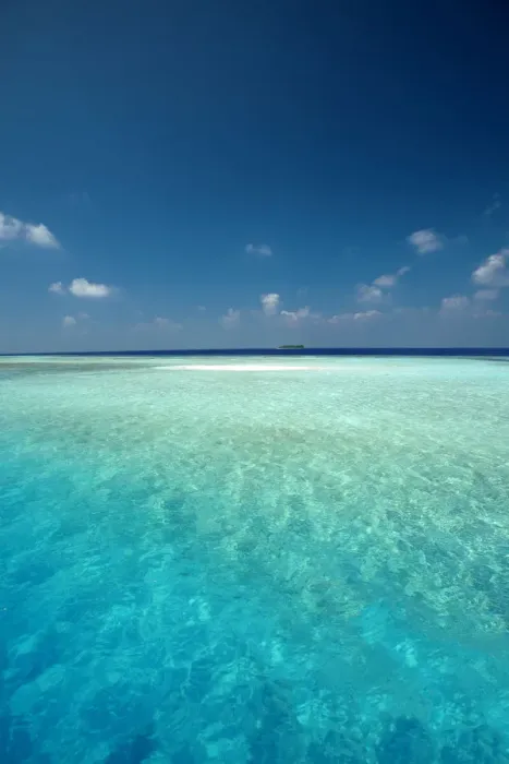 Framed Print : Maldives Tropical beach Framed Print : Maldives Tropical beach
