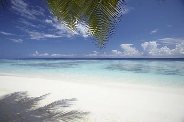 Maldives tropical beach, Maldives, Indian Ocean, Asia