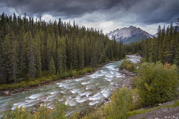 The Maligne River meandering through the Canadian Rockies, Jasper National Park