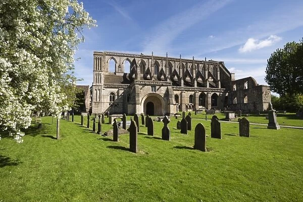 Malmesbury Abbey, Malmesbury, Wiltshire, England, United Kingdom, Europe