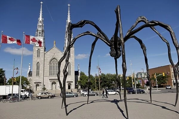 Maman a 21st century bronze sculpture of a spider, 9. 25m high with a sac of 26 eggs