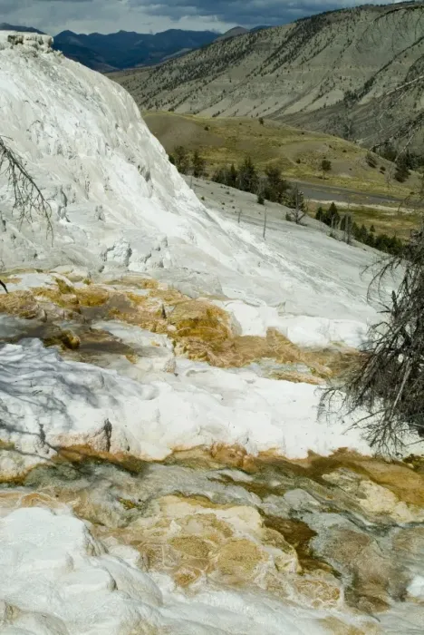 Framed Print : Mammoth Hot Springs Framed Print : Mammoth Hot Springs