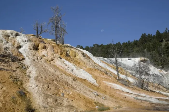 Framed Print : Mammoth Hot Springs, Yellowstone National Park, UNESCO World Heritage Site, Wyoming, United States of America, NorthA America Framed Print : Mammoth Hot Springs, Yellowstone National Park, UNESCO World Heritage Site, Wyoming, United States of America, NorthA America