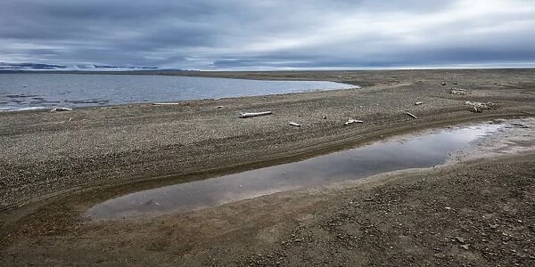 Mammoth River, Wrangel Island, UNESCO World Heritage Site, Chukotka, Russian Far East, Eurasia