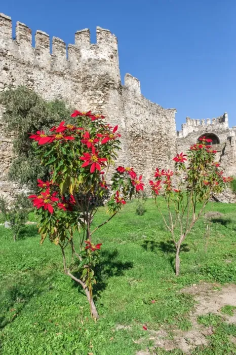 Framed Print : Mamure castle, Anamur, Anatolia, Southwest Turkey, Asia Minor, Eurasia Framed Print : Mamure castle, Anamur, Anatolia, Southwest Turkey, Asia Minor, Eurasia