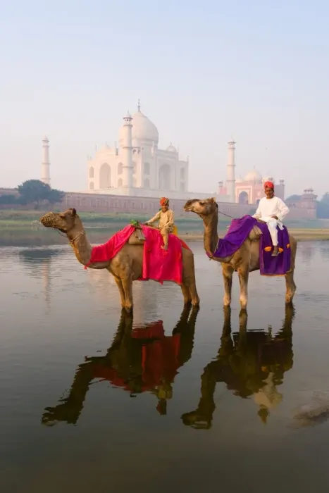 Framed Print : Man and boy riding camels in the Yamuna River in front of the Taj Mahal, UNESCO World Heritage Site, Agra, Uttar Pradesh, India, Asia Framed Print : Man and boy riding camels in the Yamuna River in front of the Taj Mahal, UNESCO World Heritage Site, Agra, Uttar Pradesh, India, Asia