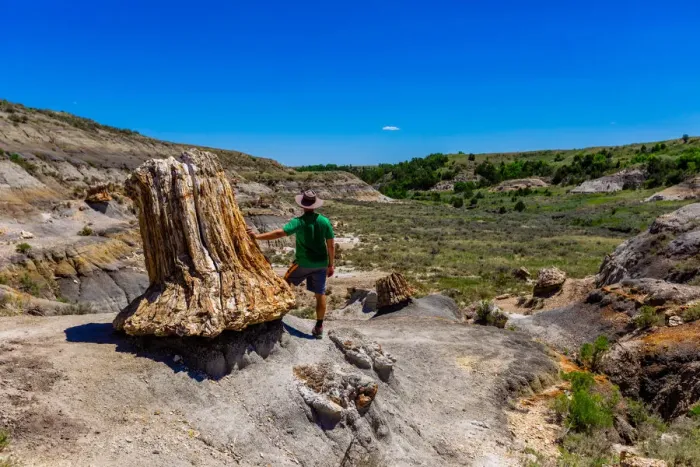 Framed Print : Man enjoying the view along The Petrified Forest Loop Trail inside Theodore Roosevelt Framed Print : Man enjoying the view along The Petrified Forest Loop Trail inside Theodore Roosevelt