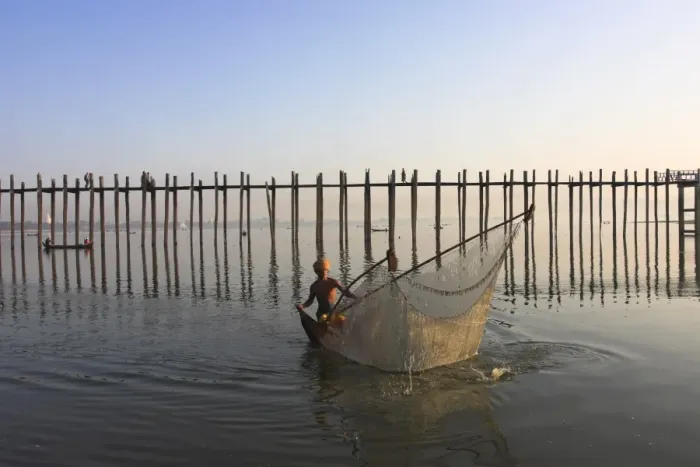 Framed Print : Man fishing with large net by U Beins Bridge, Taugthaman Lake, Amarapura Framed Print : Man fishing with large net by U Beins Bridge, Taugthaman Lake, Amarapura