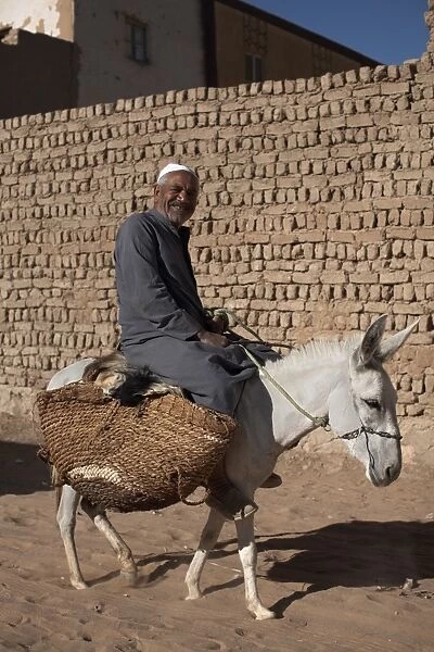 A man rides his mule through the streets of Al-Qasr, Dakhla Oasis, Egypt