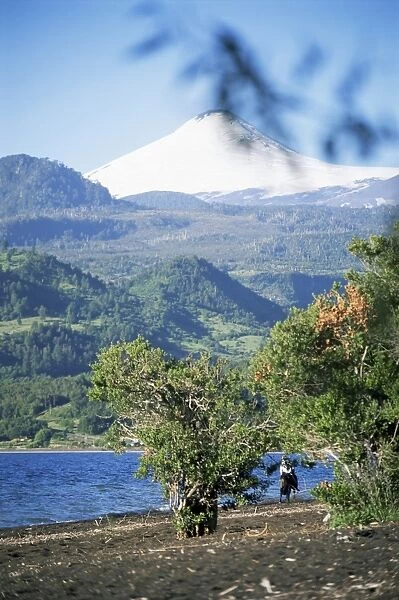 Man riding horse along beach with Villarica volcano in the background, Villarica Lake