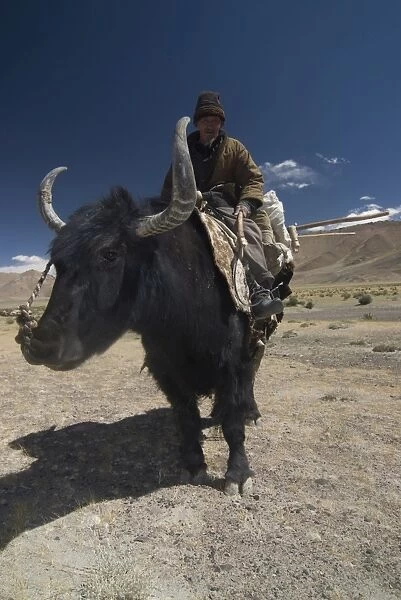 Man riding a yak, Pamir Highway, Tajikistan, Central Asia, Asia