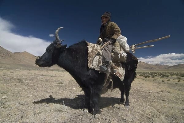 Man riding a yak, Pamir Highway, Tajikistan, Central Asia, Asia
