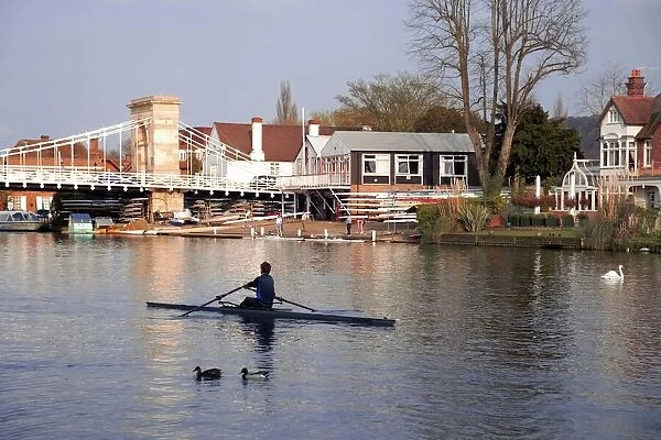 Man rowing on River Thames near Rowing Club, Marlow suspension bridge in background
