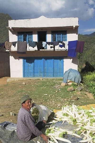 Man sitting outside his house packing vegetables, Bandare village, Trisuli Valley