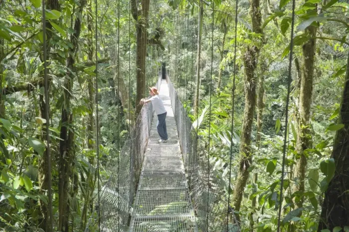 Framed Print : Man standing on hanging bridge in rainforest, , La Fortuna, Arenal, Costa Rica Framed Print : Man standing on hanging bridge in rainforest, , La Fortuna, Arenal, Costa Rica