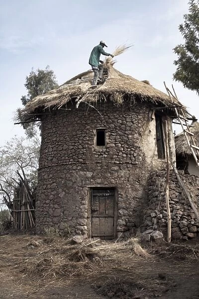 A man thatches the roof of his house in the town of Lalibela, Ethiopia, Africa