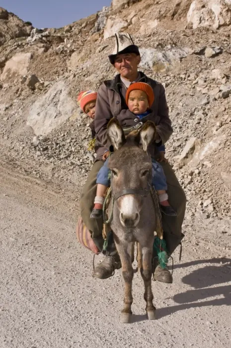Framed Print : Man with twins on donkey in the mountains near Sary Tash, Kyrgyzstan, Central Asia, Asia Framed Print : Man with twins on donkey in the mountains near Sary Tash, Kyrgyzstan, Central Asia, Asia